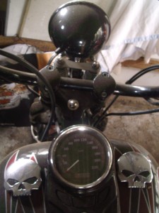 Skulls and Crossbones