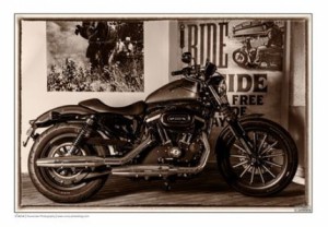 vince motor 3