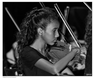 vince violon