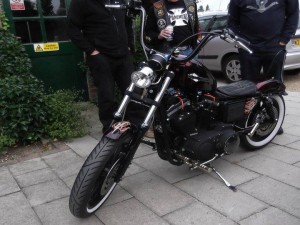 sporster greg