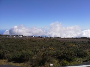 el maido