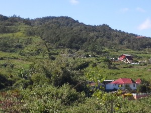 pause café paysage