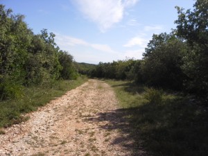 20140812_104137