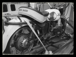 guzzi