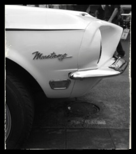 muscle front