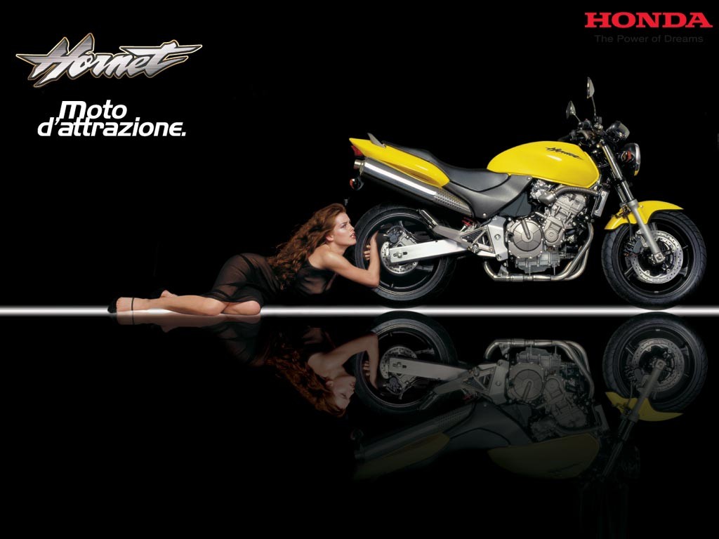 8 hornet