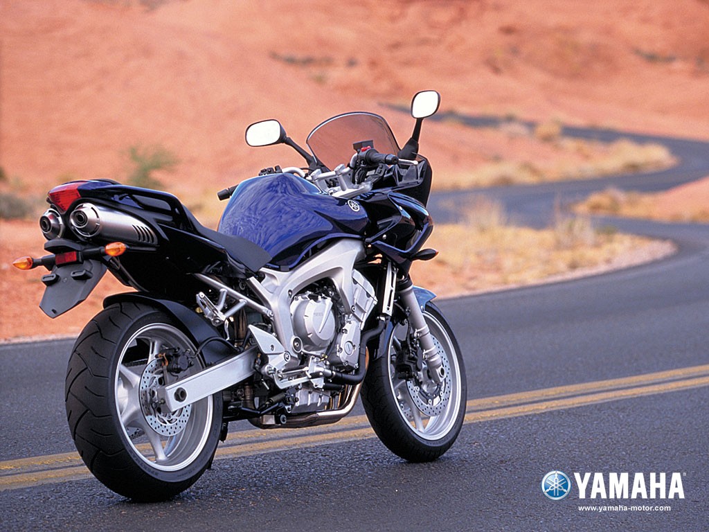 9 600 fzs