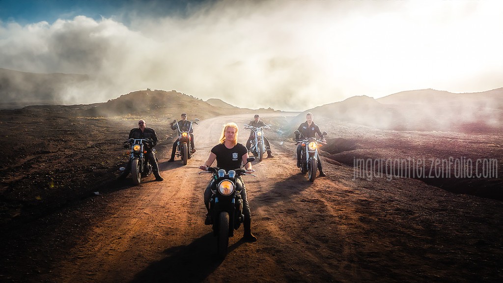 WildBunch_100