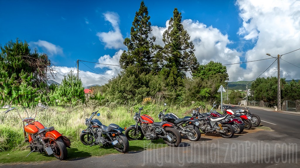 WildBunch_2