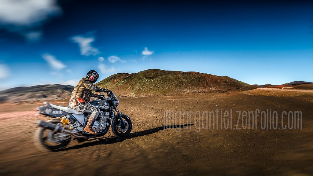 WildBunch_45