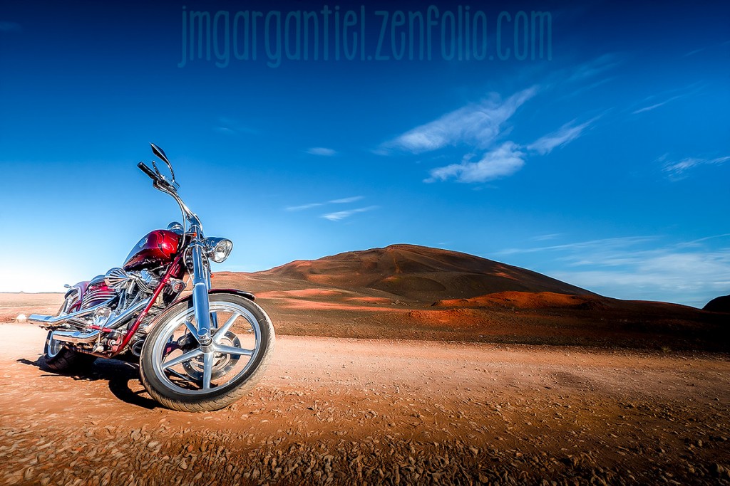 WildBunch_66