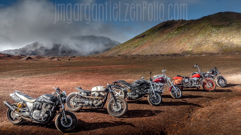 WildBunch_7