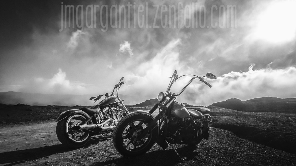 WildBunch_83nb