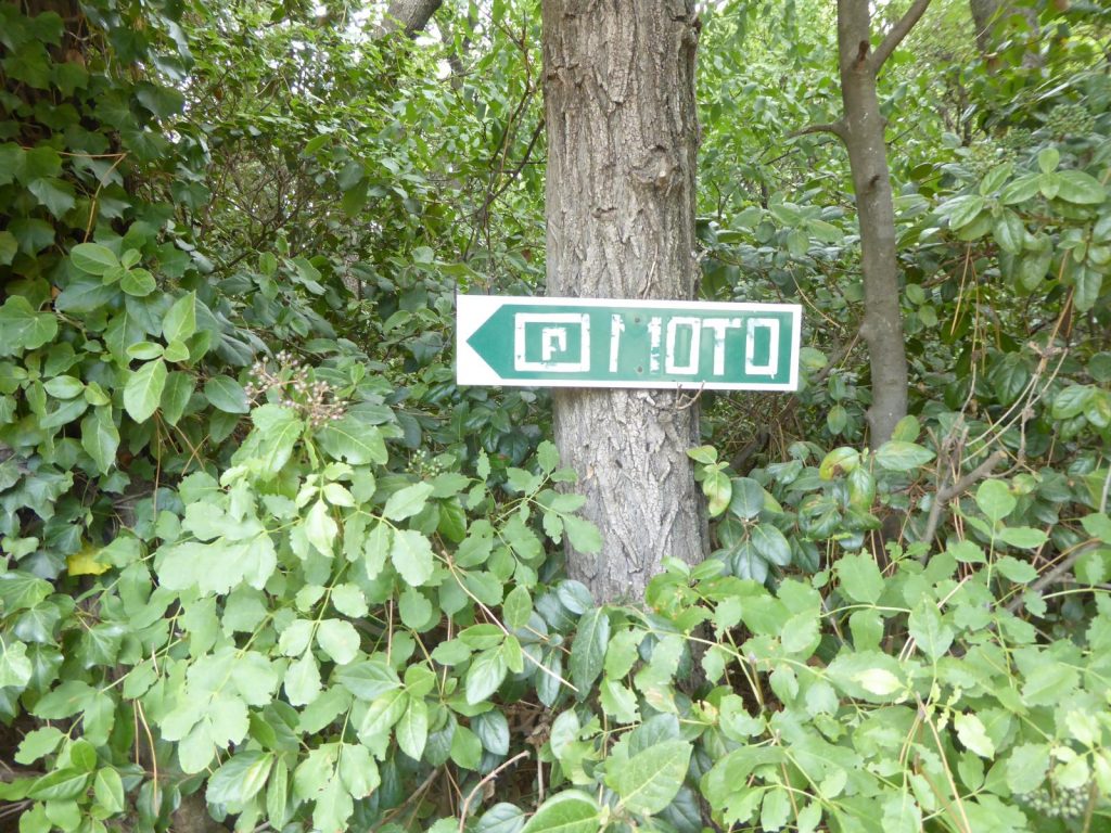 P1050860