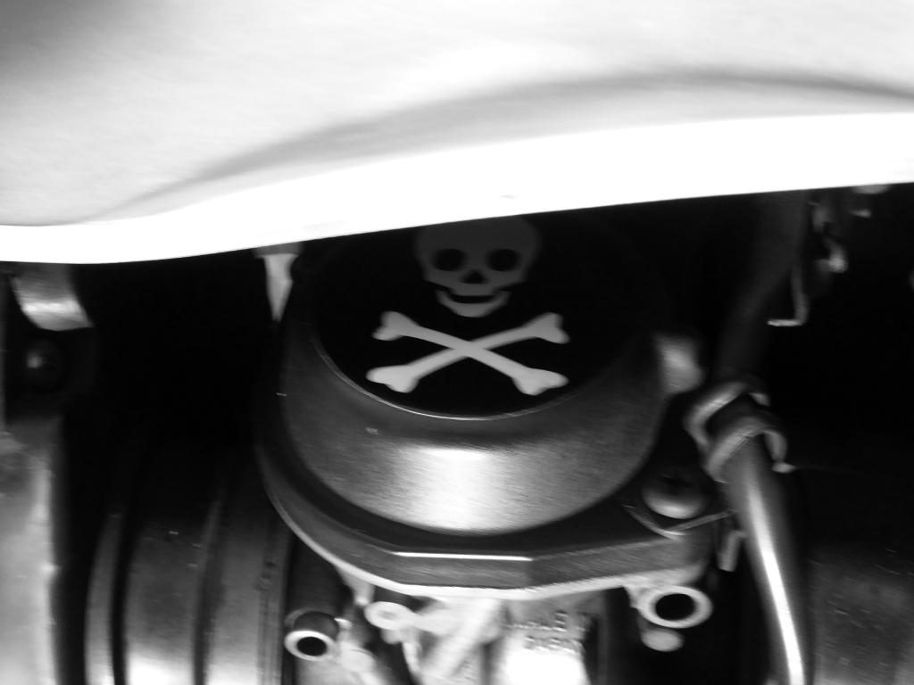 skull